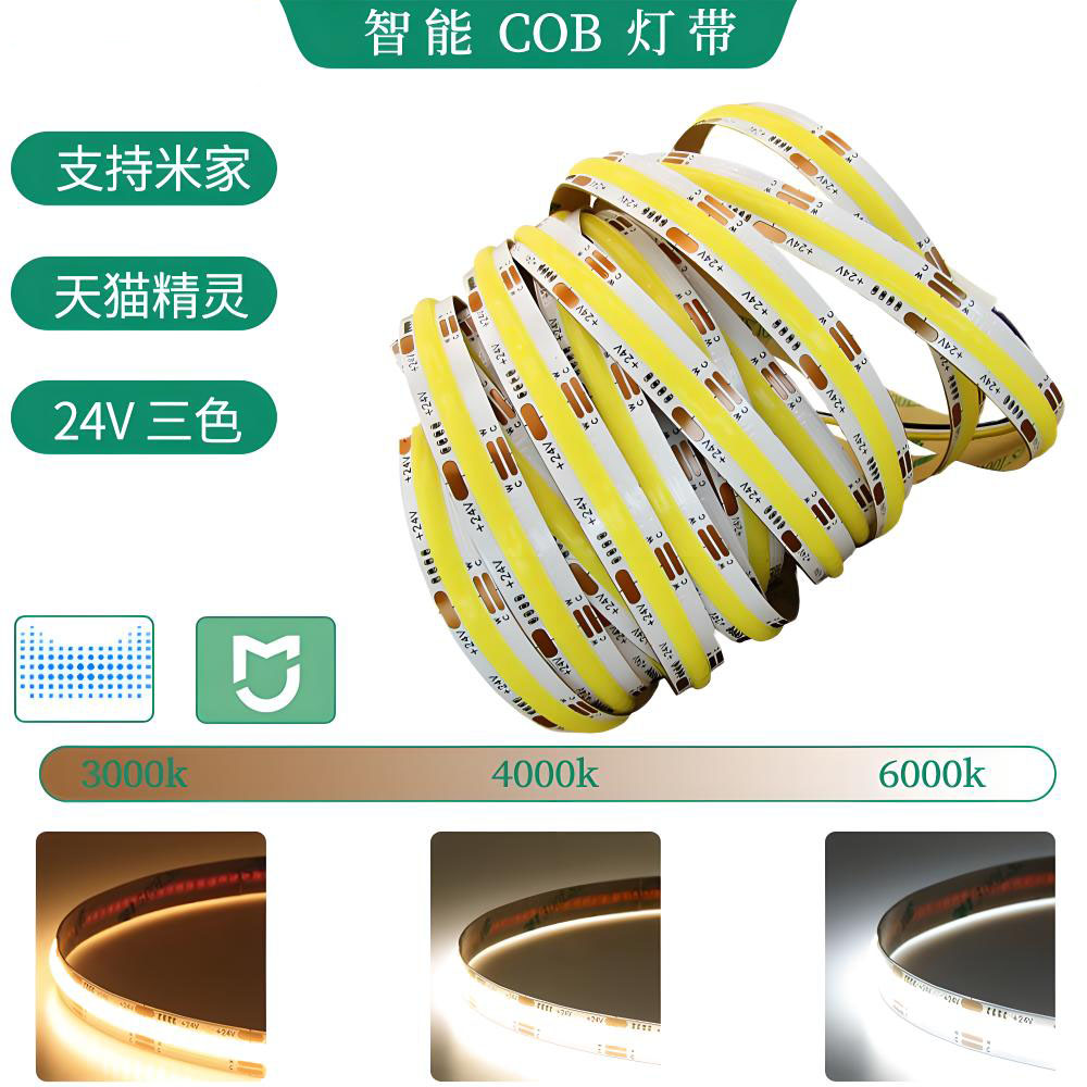 COB灯带DC12V/24V